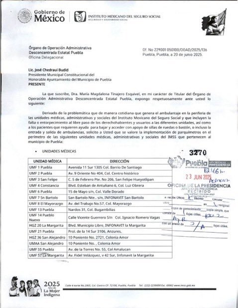 Documento: David Celestino
